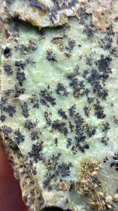 Garnierite- Riddle Mine, Riddle, Riddle Mining District, Douglas County, Oregon, USA