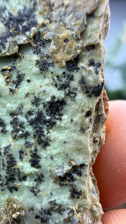 Garnierite- Riddle Mine, Riddle, Riddle Mining District, Douglas County, Oregon, USA