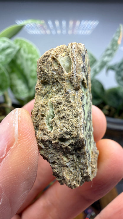 Garnierite- Riddle Mine, Riddle, Riddle Mining District, Douglas County, Oregon, USA