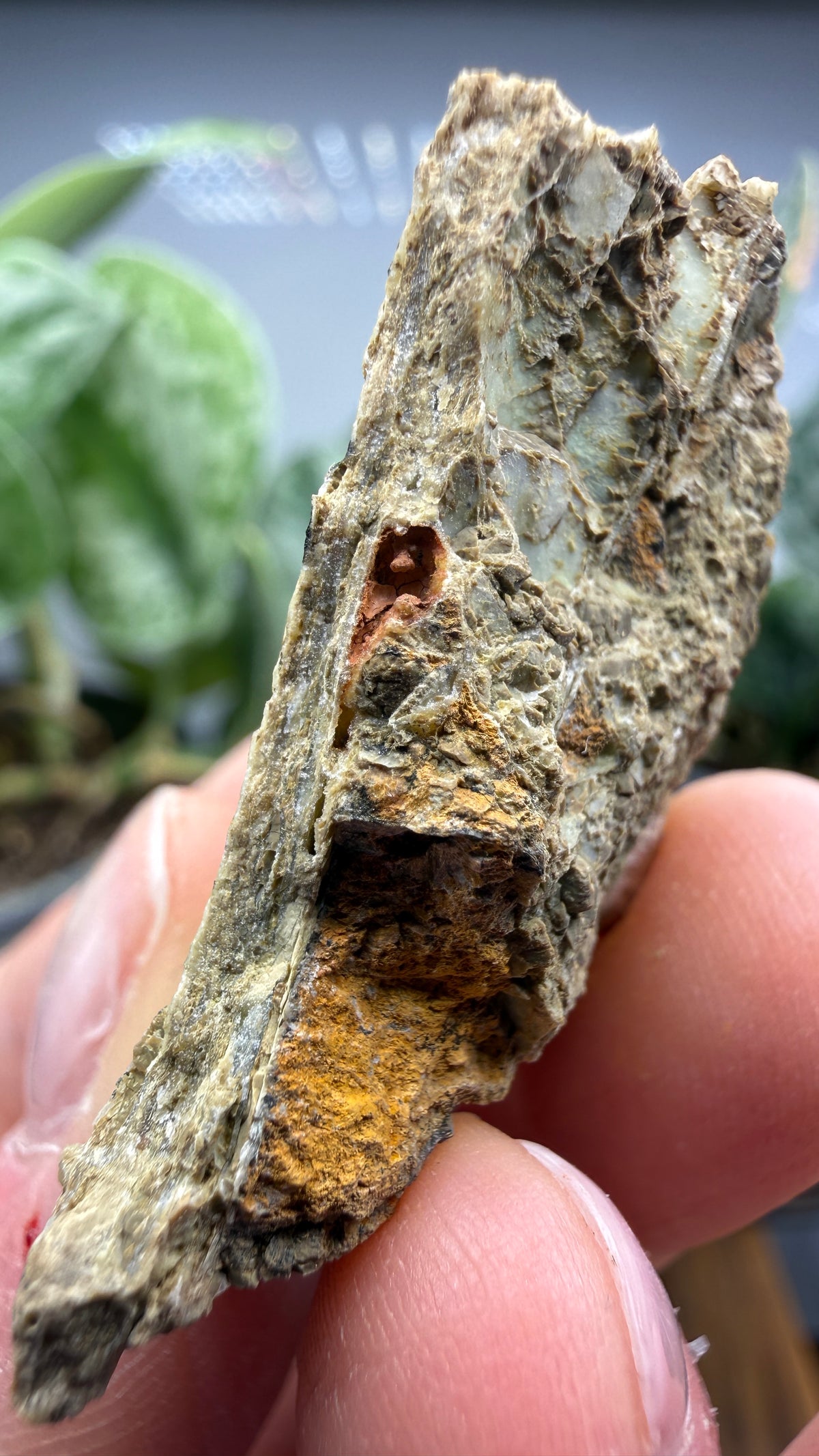 Garnierite- Riddle Mine, Riddle, Riddle Mining District, Douglas County, Oregon, USA