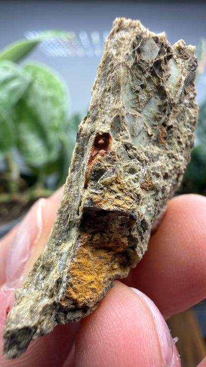 Garnierite- Riddle Mine, Riddle, Riddle Mining District, Douglas County, Oregon, USA