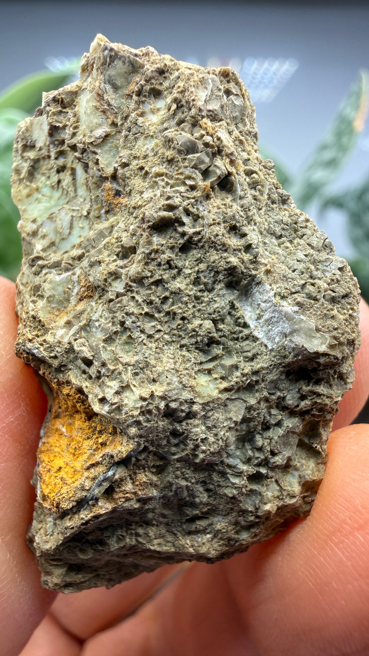 Garnierite- Riddle Mine, Riddle, Riddle Mining District, Douglas County, Oregon, USA