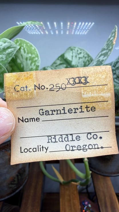 Garnierite- Riddle Mine, Riddle, Riddle Mining District, Douglas County, Oregon, USA