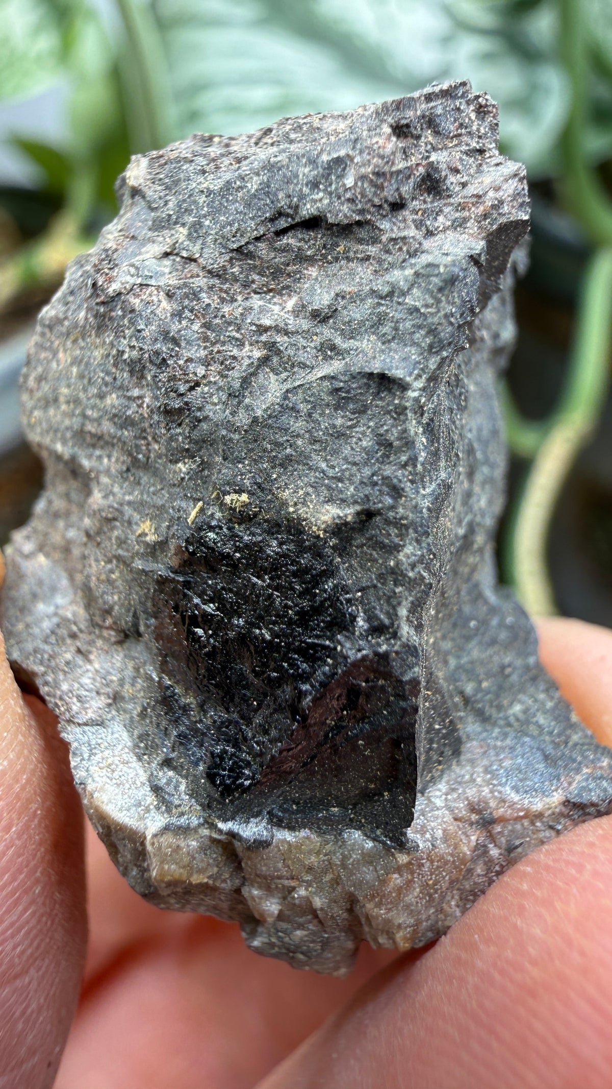Fergusonite-(Y)- Iveland, Agder, Norway