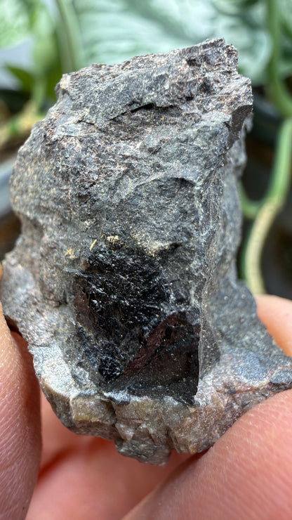 Fergusonite-(Y)- Iveland, Agder, Norway