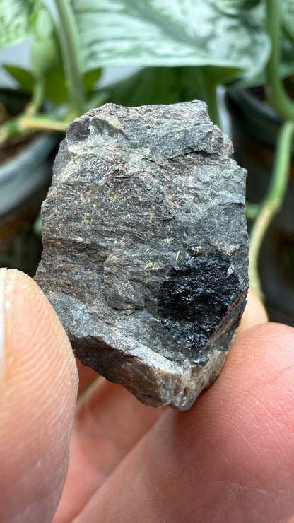 Fergusonite-(Y)- Iveland, Agder, Norway