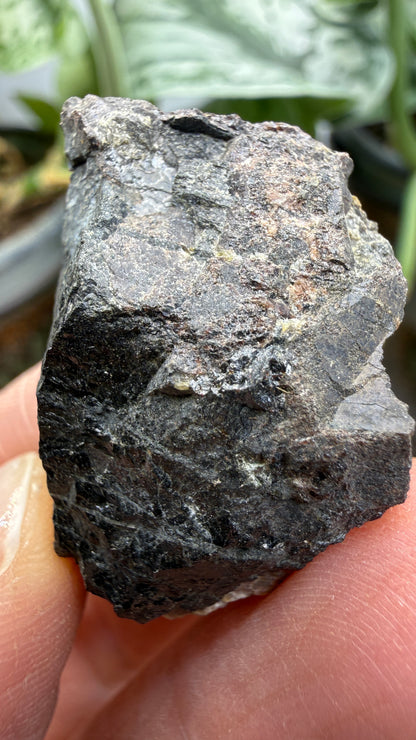 Fergusonite-(Y)- Iveland, Agder, Norway