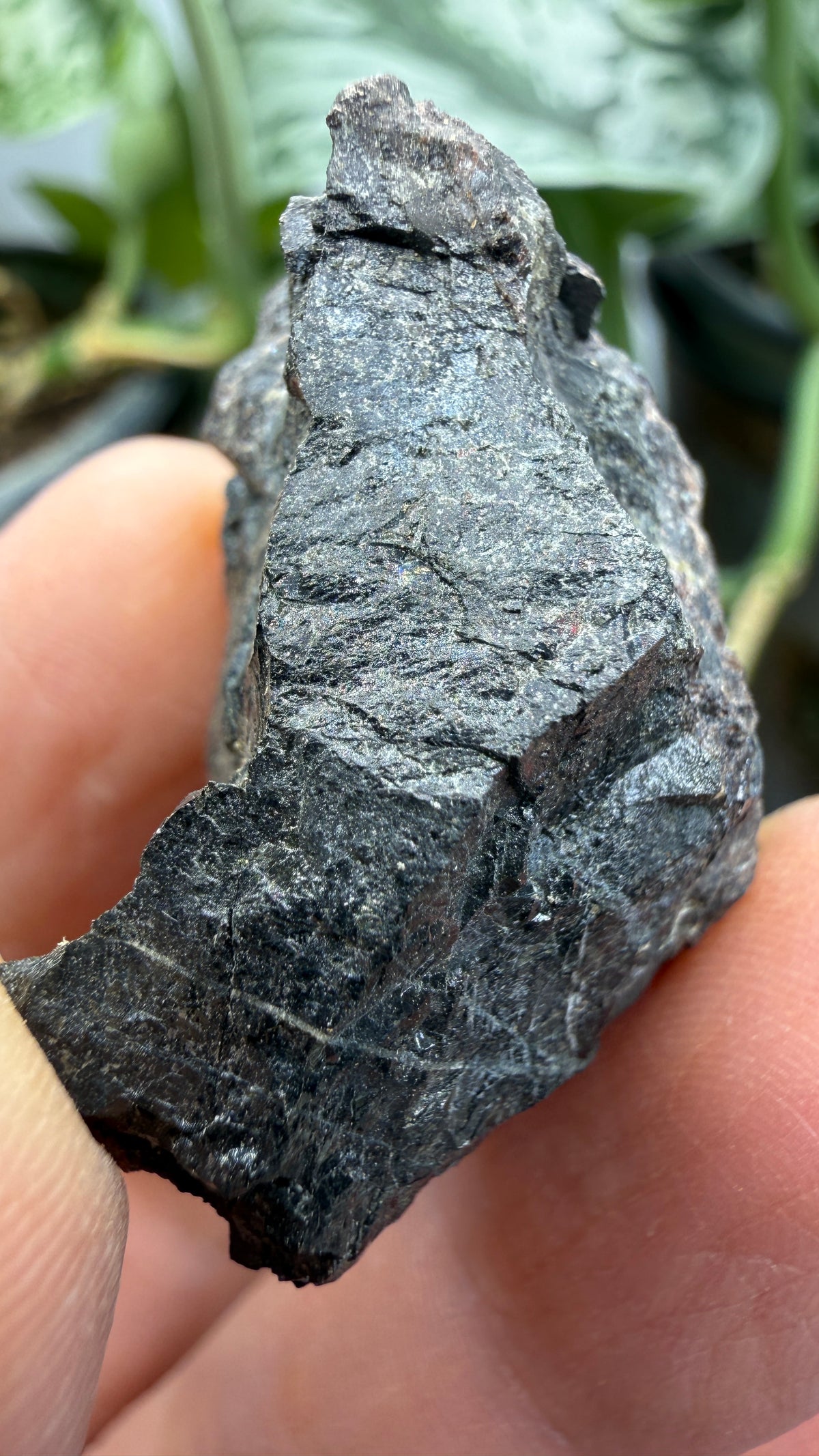 Fergusonite-(Y)- Iveland, Agder, Norway