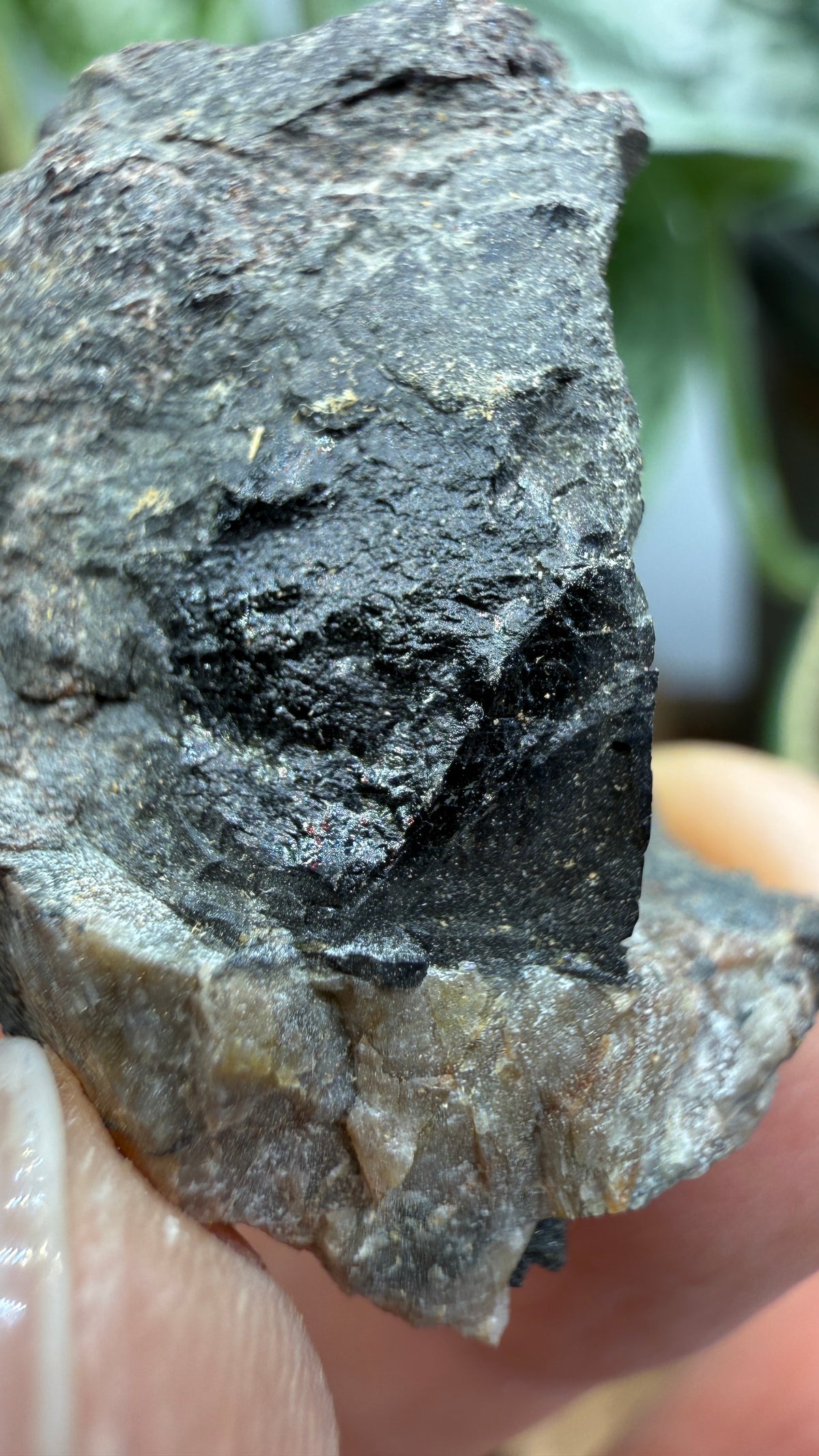 Fergusonite-(Y)- Iveland, Agder, Norway