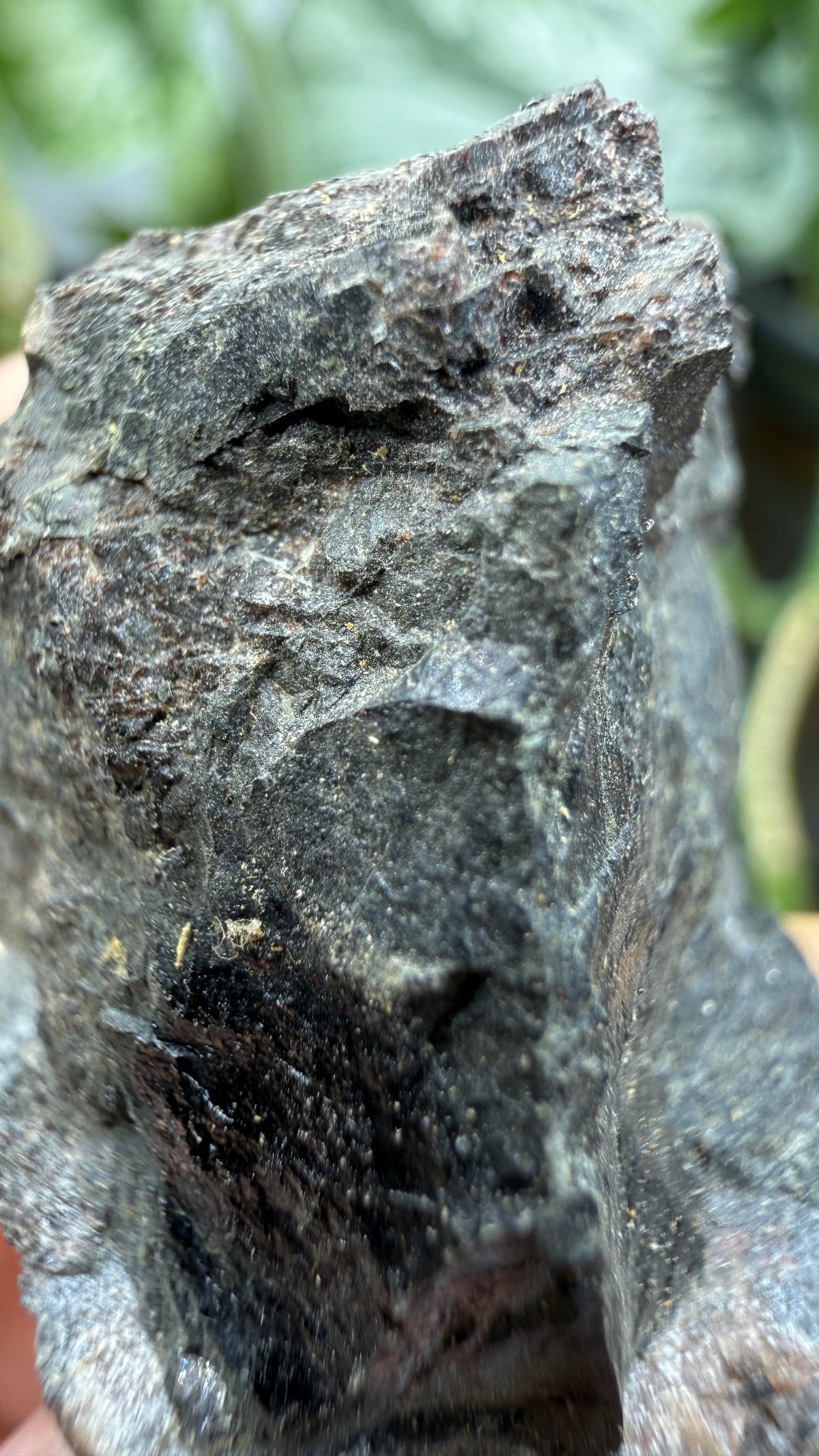Fergusonite-(Y)- Iveland, Agder, Norway