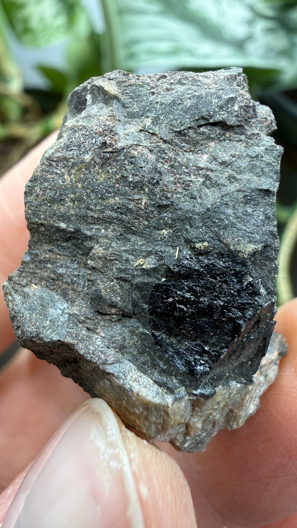 Fergusonite-(Y)- Iveland, Agder, Norway