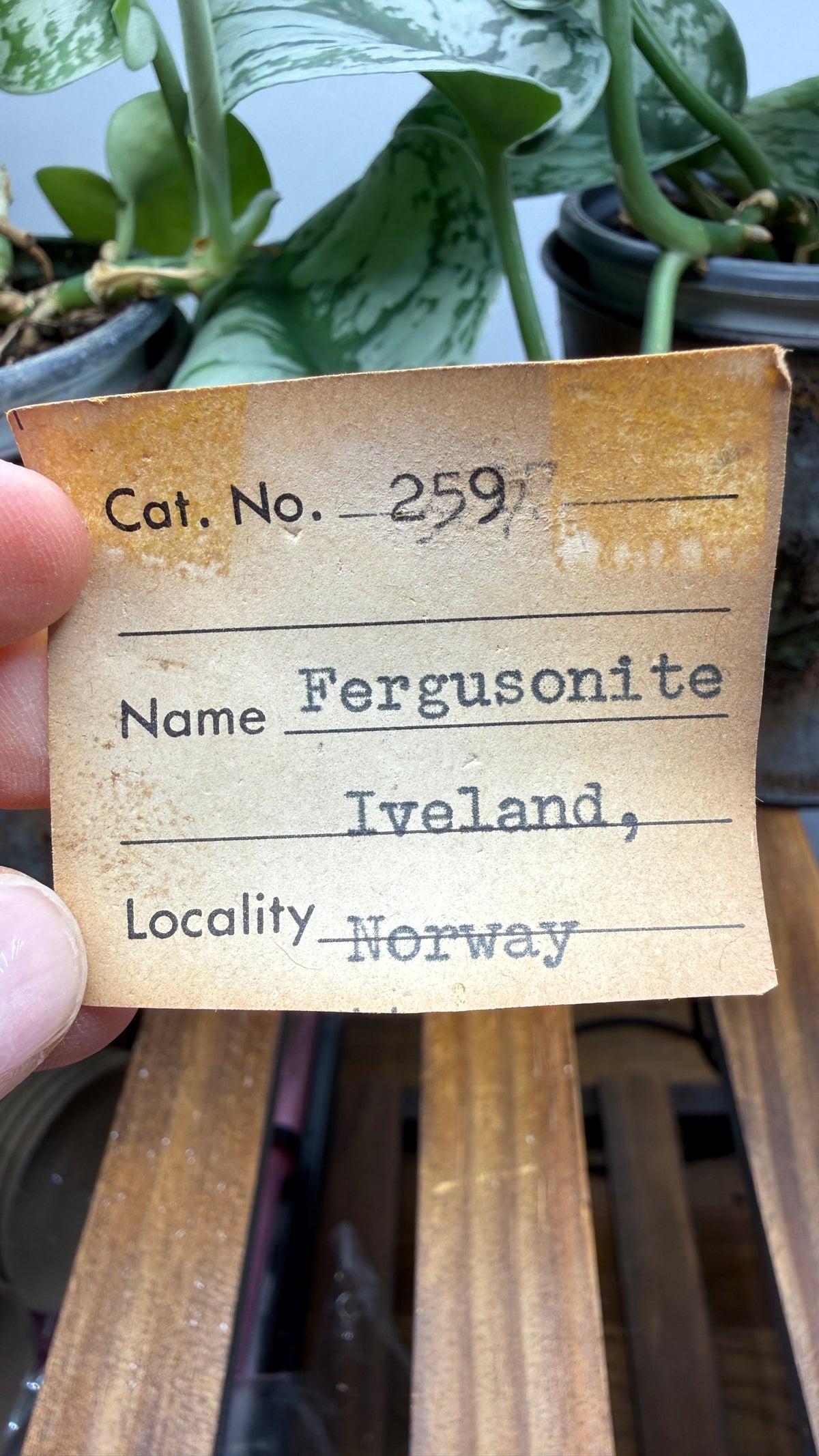 Fergusonite-(Y)- Iveland, Agder, Norway