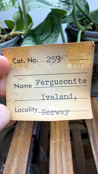 Fergusonite-(Y)- Iveland, Agder, Norway