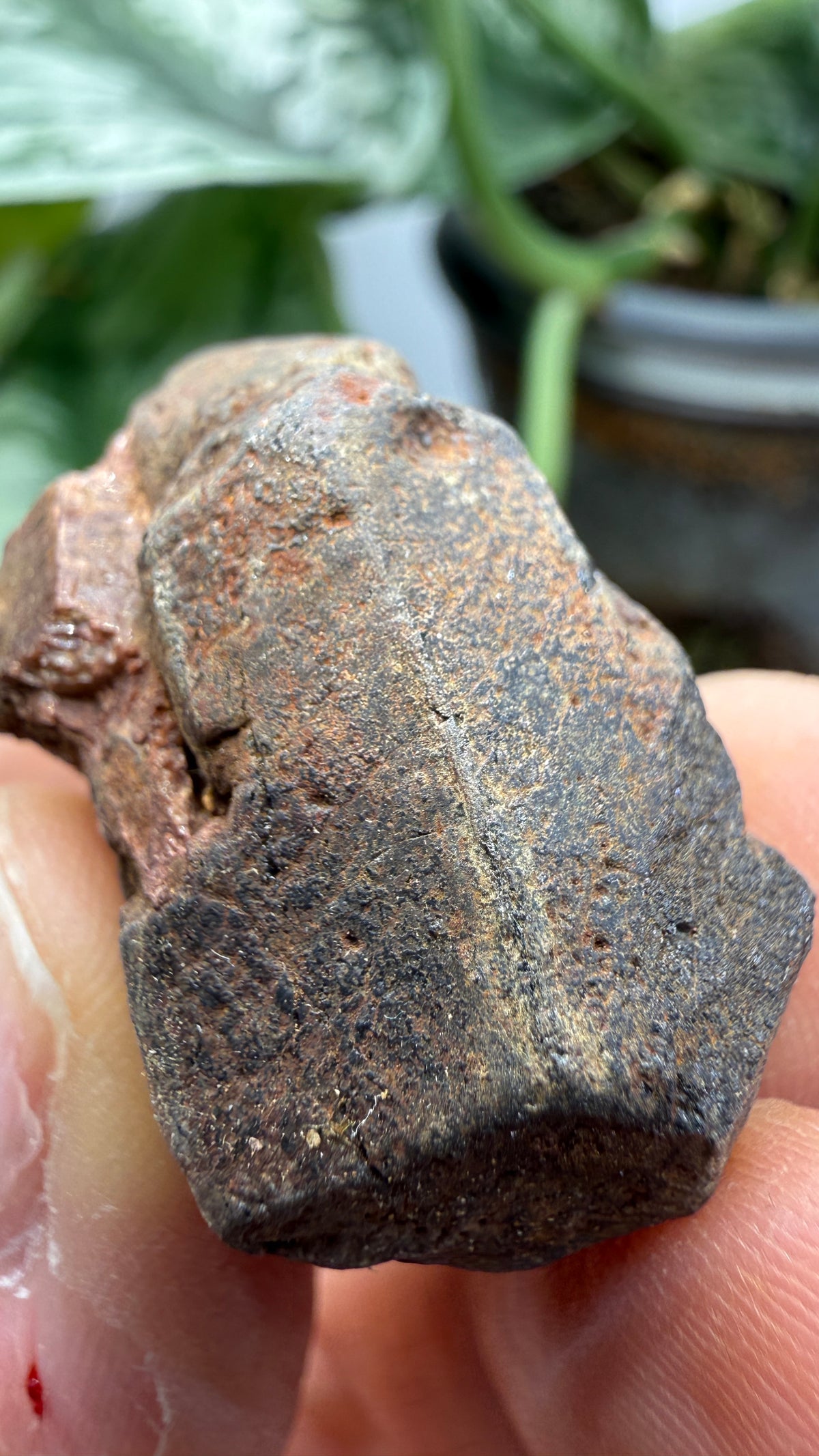 Betafite– Bancroft, Ontario, Canada