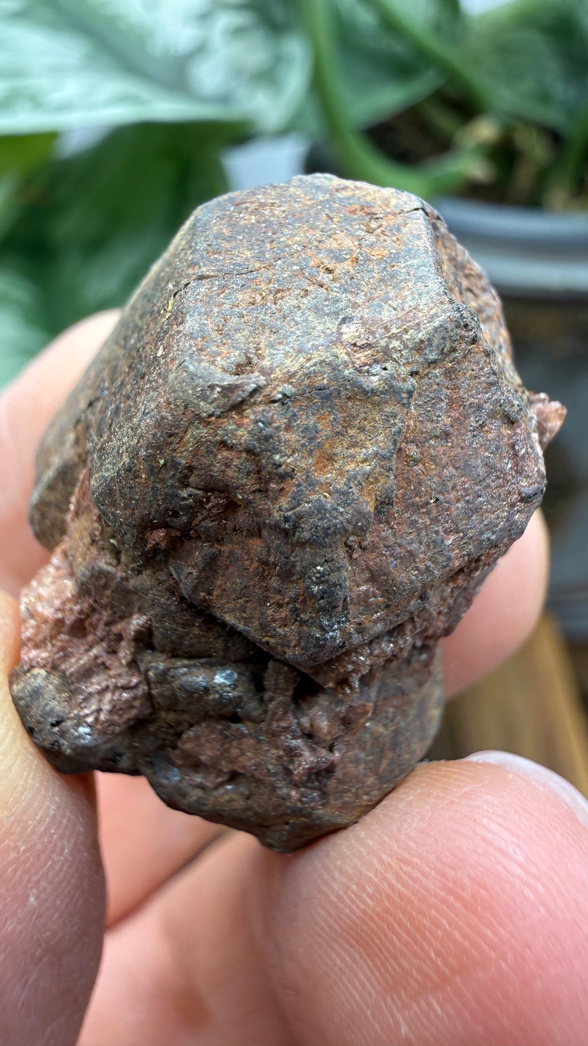Betafite– Bancroft, Ontario, Canada