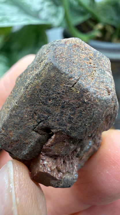 Betafite– Bancroft, Ontario, Canada