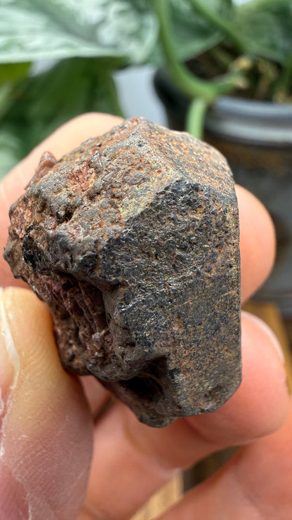 Betafite– Bancroft, Ontario, Canada