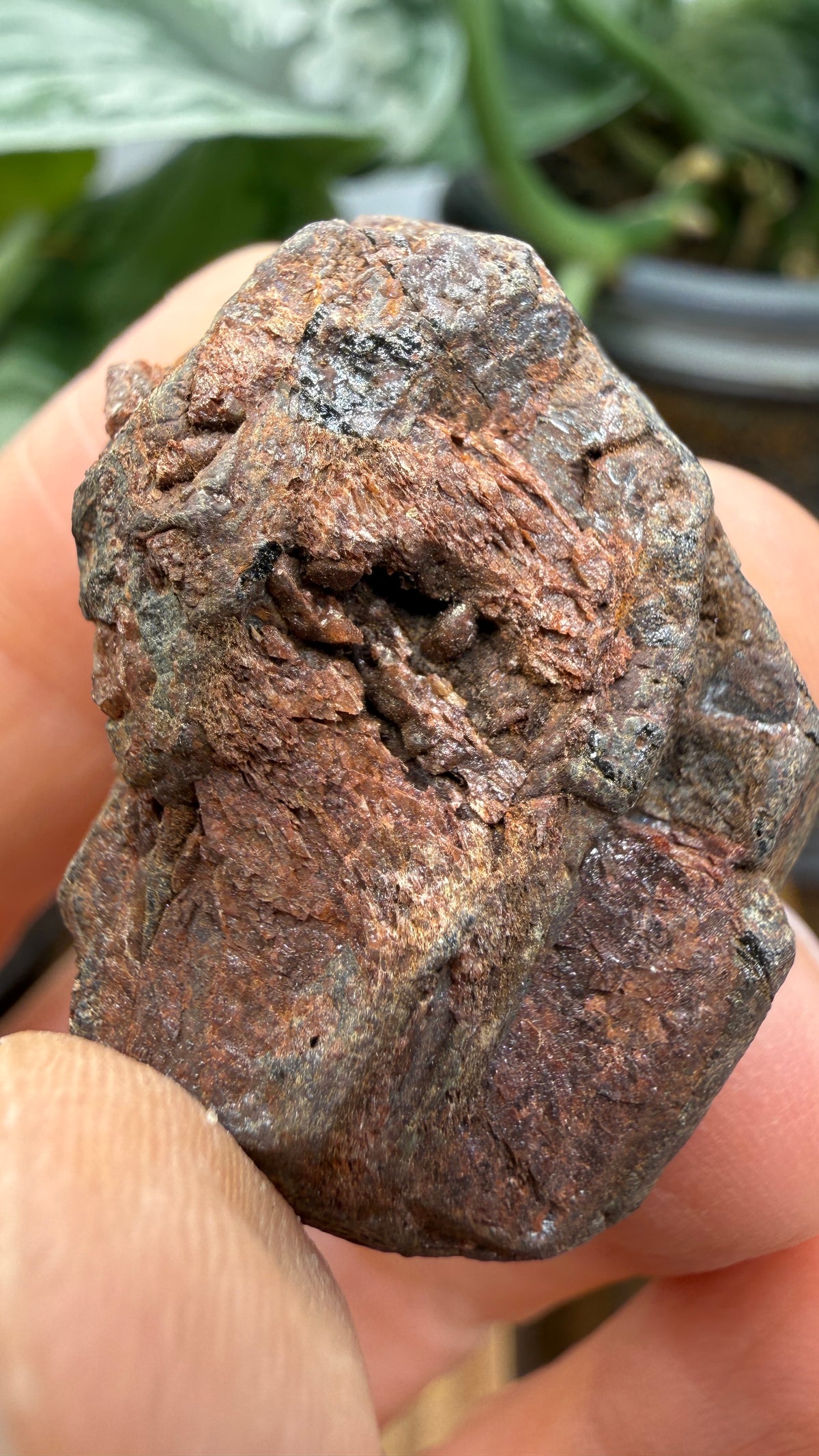 Betafite– Bancroft, Ontario, Canada