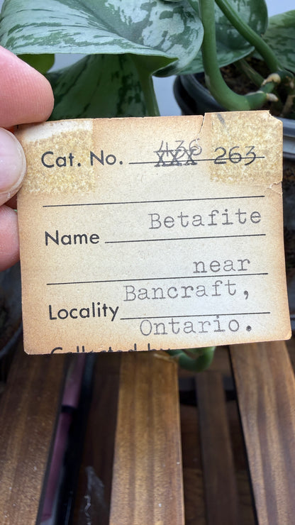 Betafite– Bancroft, Ontario, Canada