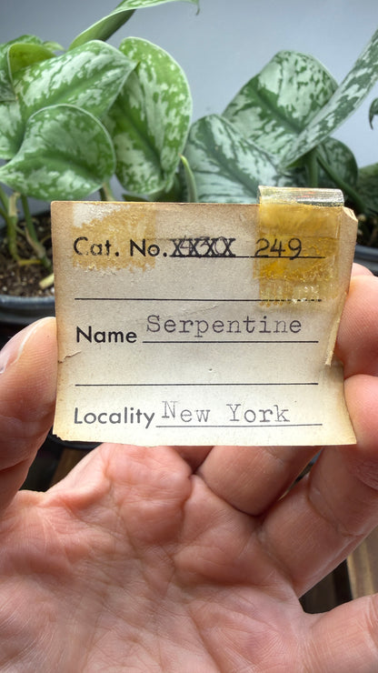 Serpentine- New York, USA