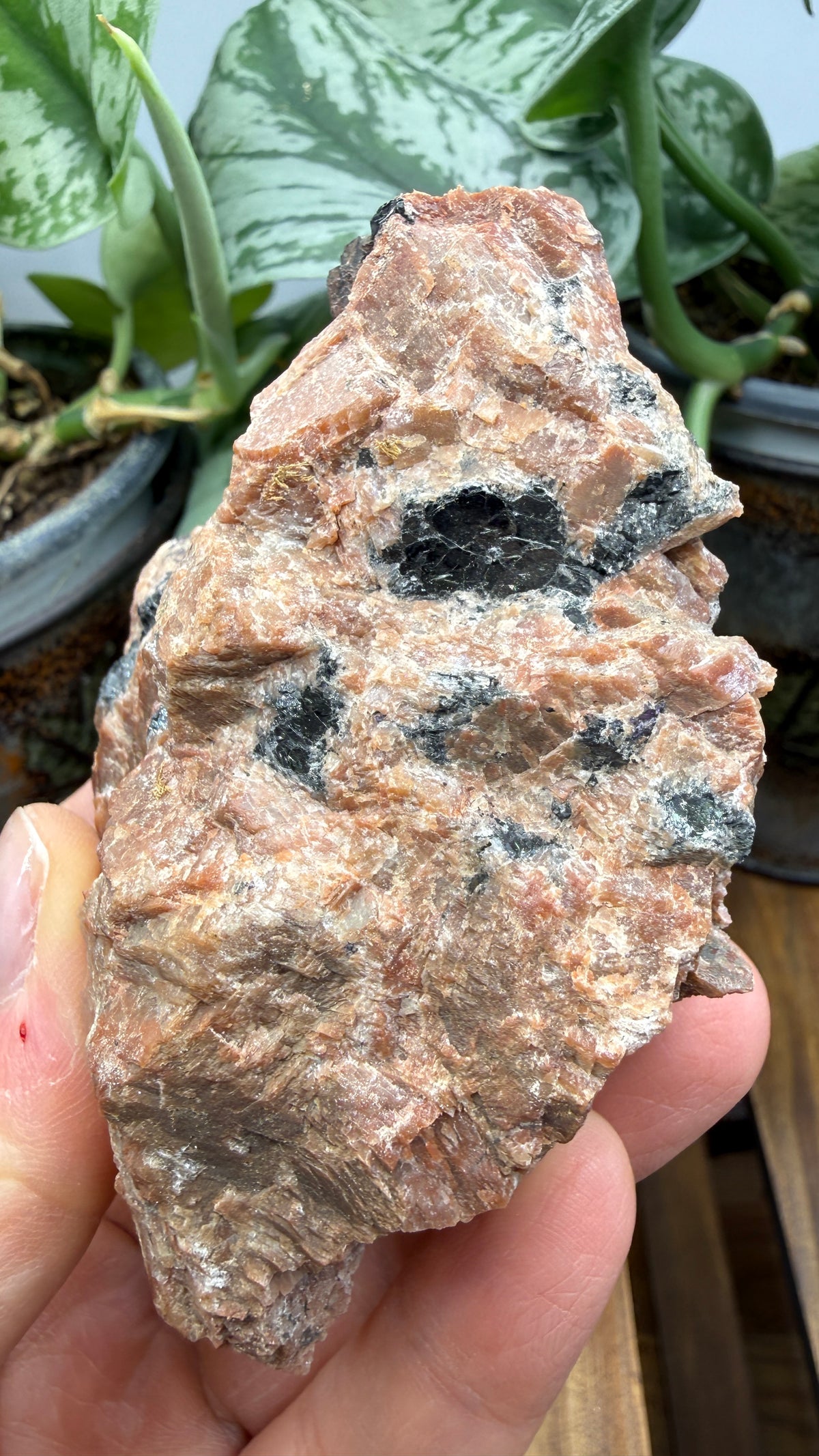 Uraninite Crystals in Feldspar– Hastings County, Ontario, Canada