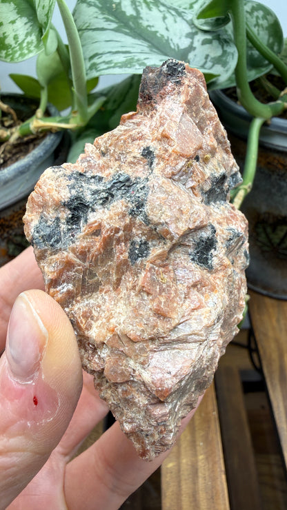 Uraninite Crystals in Feldspar– Hastings County, Ontario, Canada