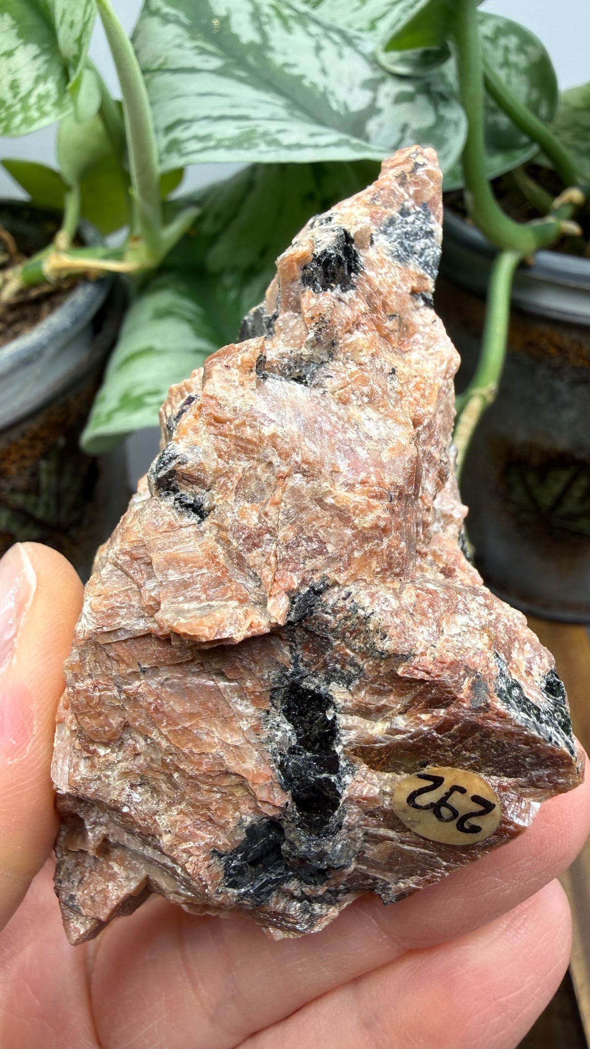 Uraninite Crystals in Feldspar– Hastings County, Ontario, Canada