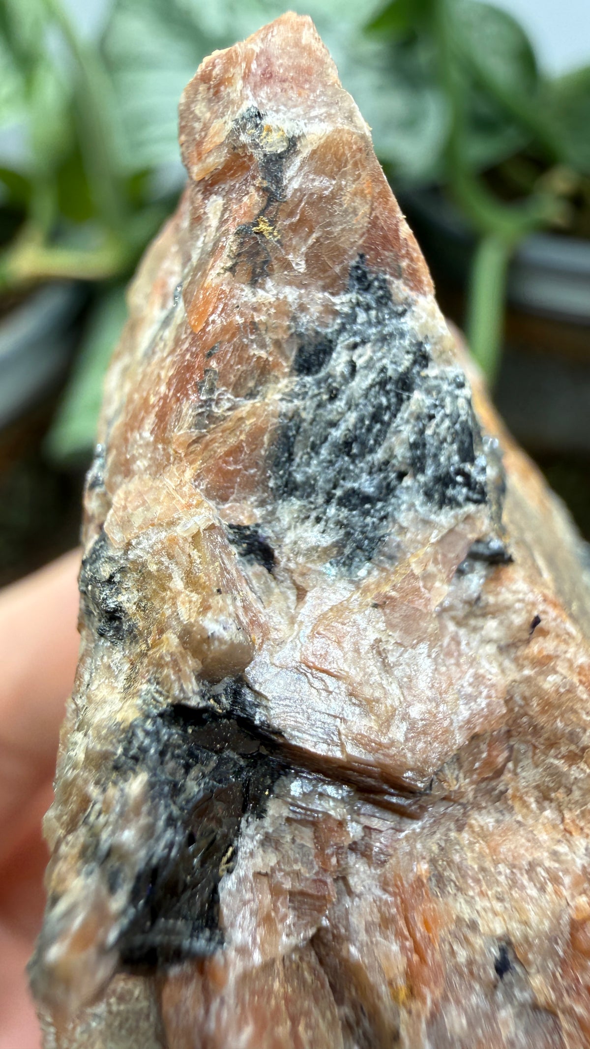 Uraninite Crystals in Feldspar– Hastings County, Ontario, Canada