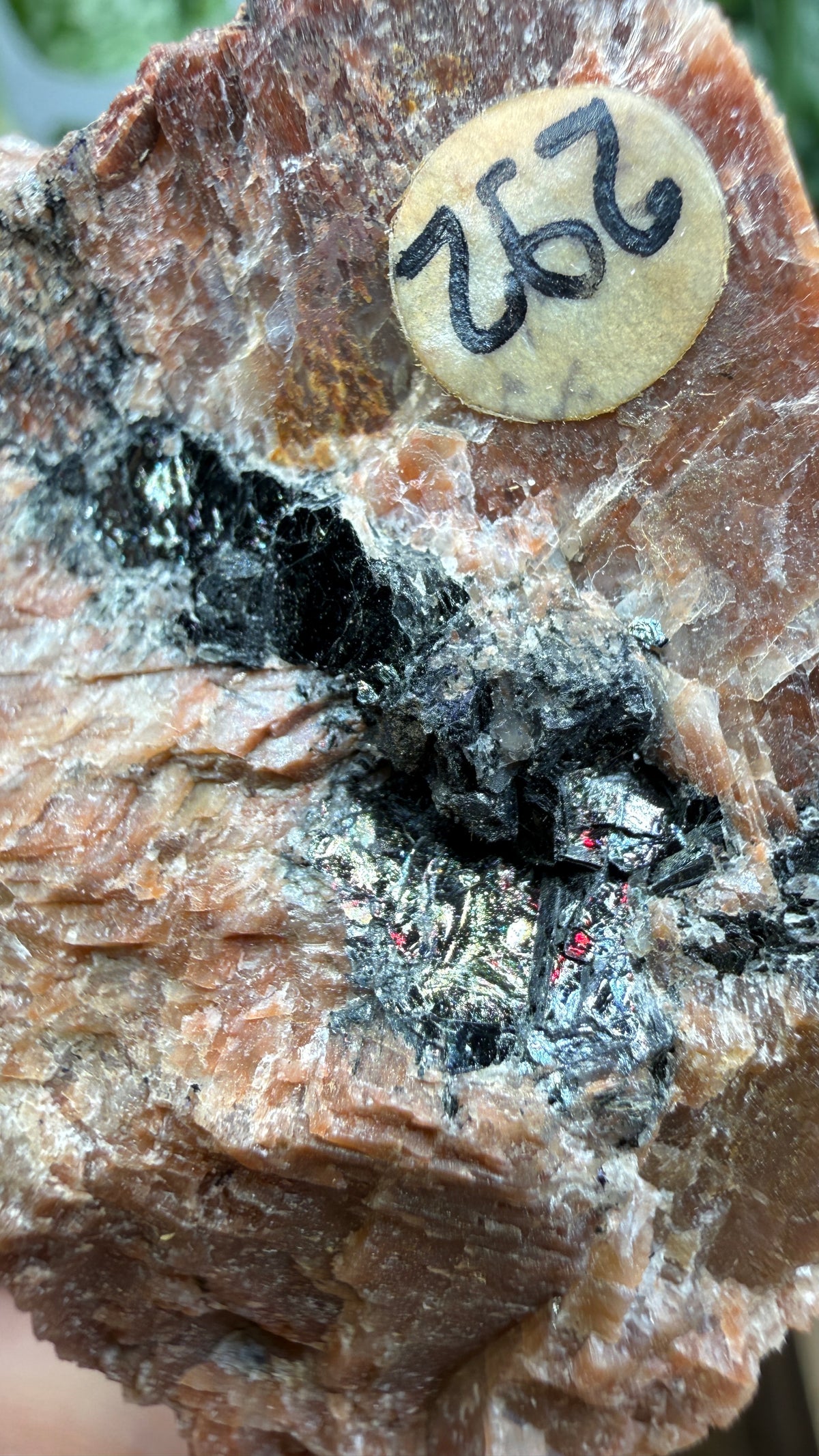 Uraninite Crystals in Feldspar– Hastings County, Ontario, Canada