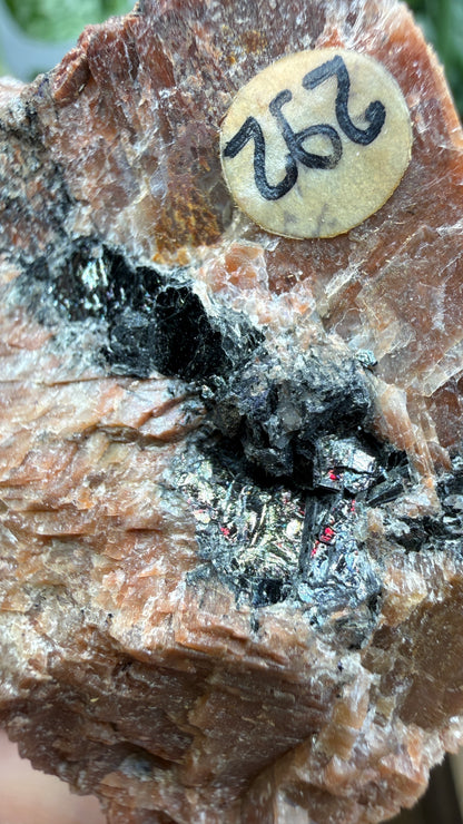 Uraninite Crystals in Feldspar– Hastings County, Ontario, Canada