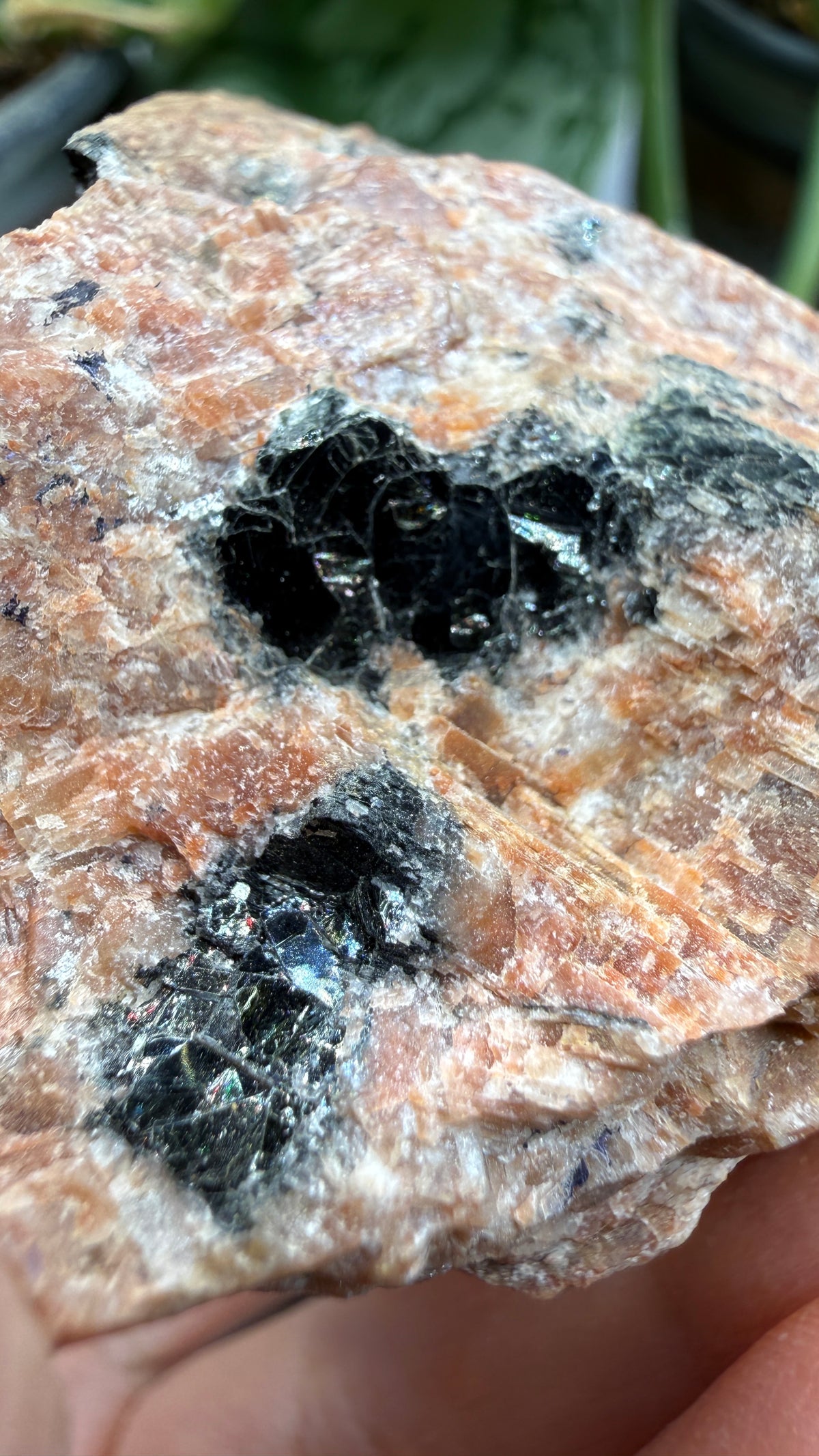 Uraninite Crystals in Feldspar– Hastings County, Ontario, Canada