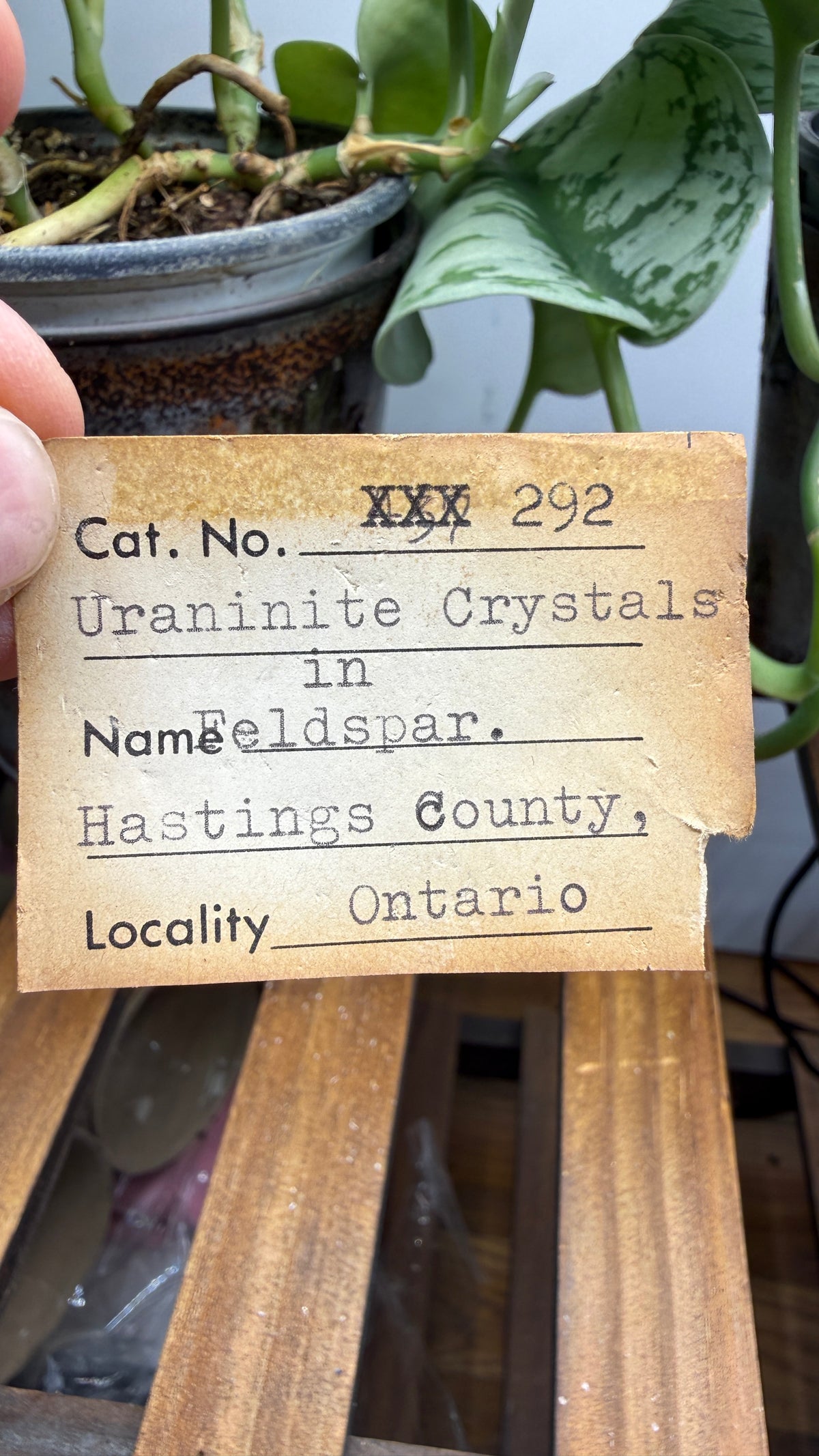 Uraninite Crystals in Feldspar– Hastings County, Ontario, Canada