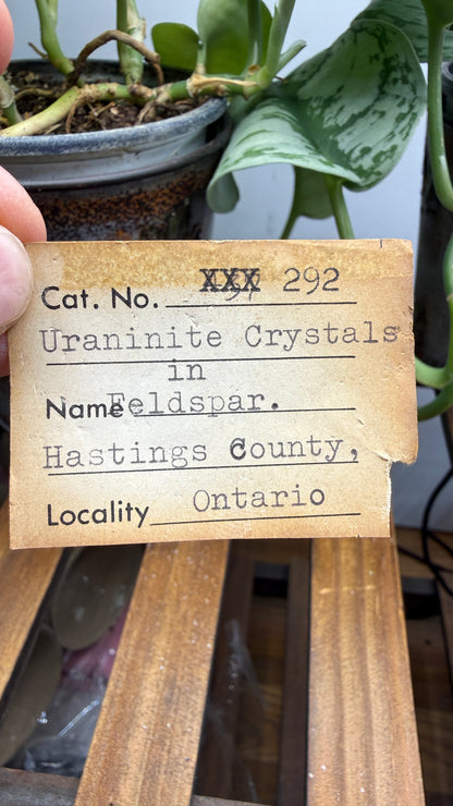 Uraninite Crystals in Feldspar– Hastings County, Ontario, Canada
