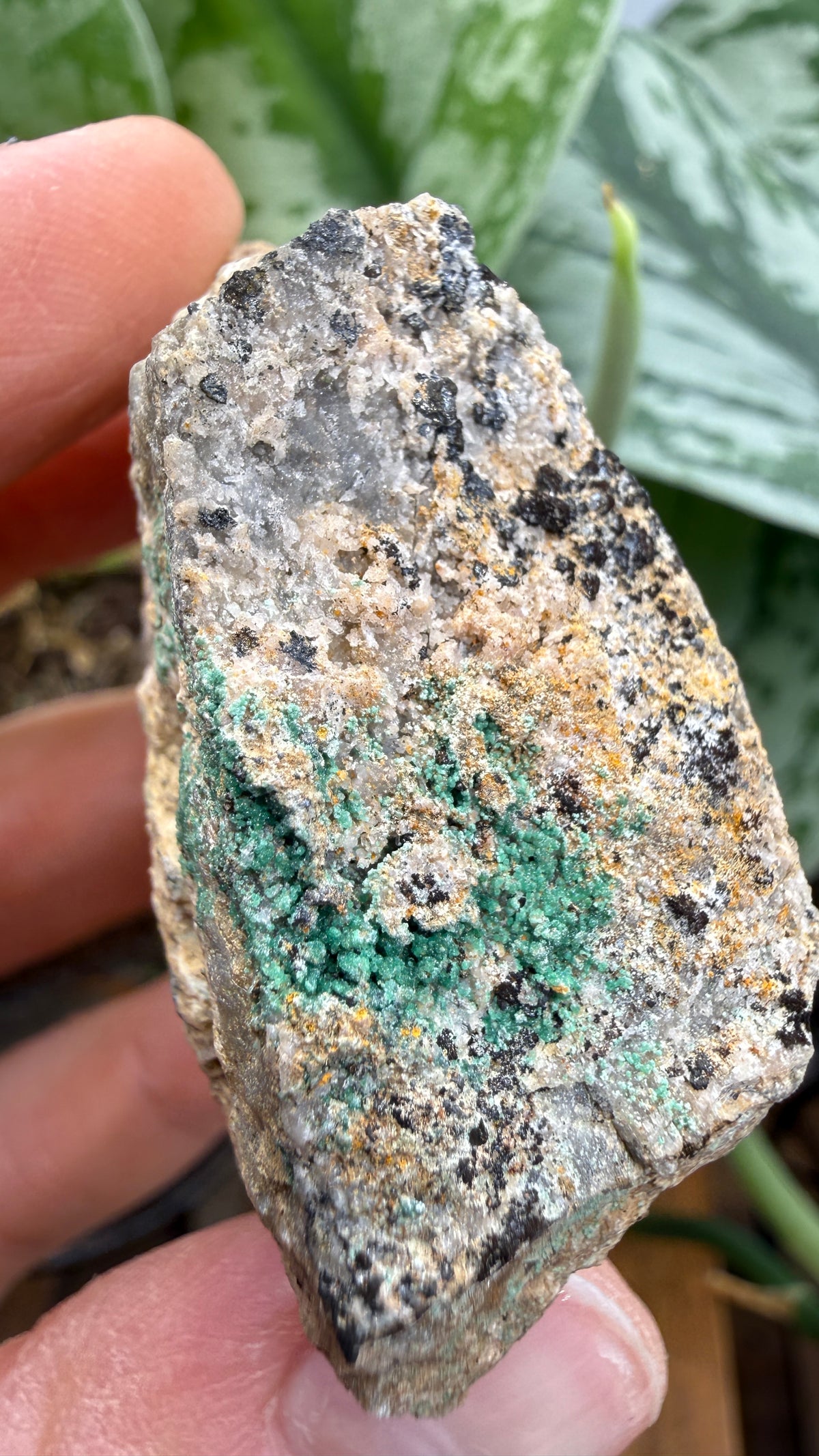 Scorodite with Chalcocite- Empire Mine, Yerington, Lyon County, Nevada, USA