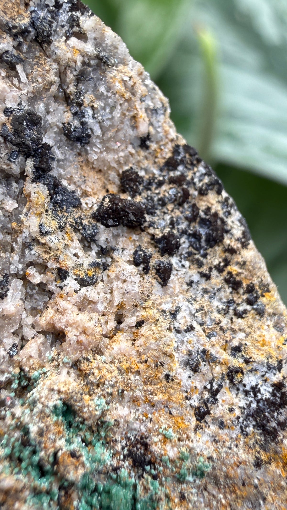 Scorodite with Chalcocite- Empire Mine, Yerington, Lyon County, Nevada, USA