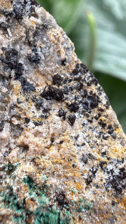 Scorodite with Chalcocite- Empire Mine, Yerington, Lyon County, Nevada, USA