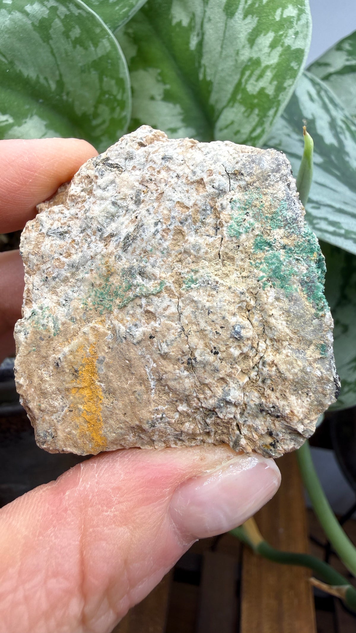 Scorodite with Chalcocite- Empire Mine, Yerington, Lyon County, Nevada, USA