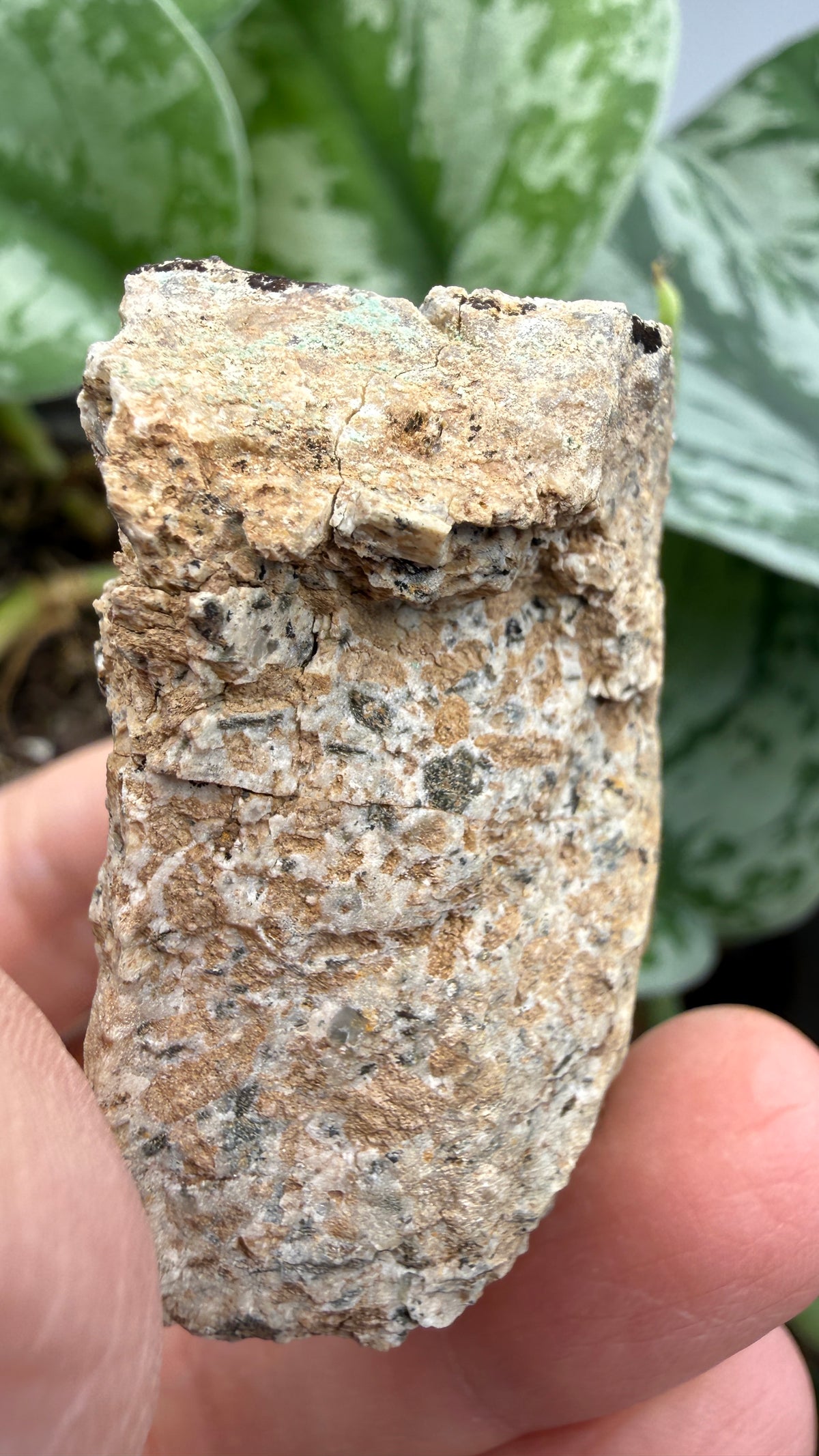 Scorodite with Chalcocite- Empire Mine, Yerington, Lyon County, Nevada, USA
