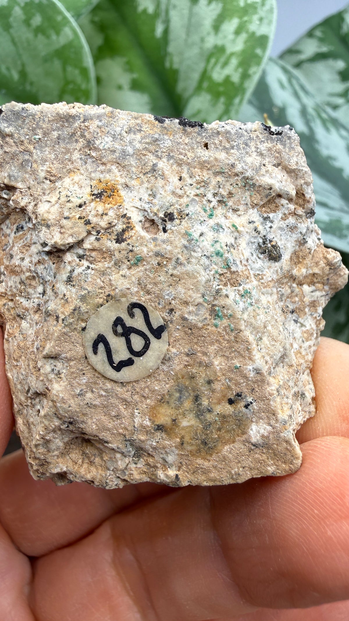 Scorodite with Chalcocite- Empire Mine, Yerington, Lyon County, Nevada, USA