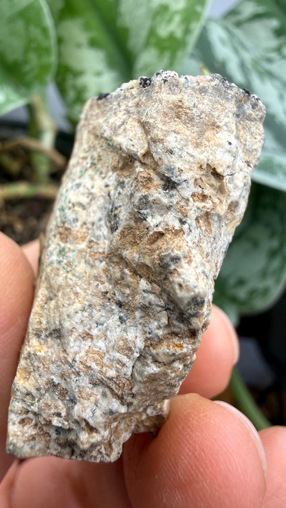 Scorodite with Chalcocite- Empire Mine, Yerington, Lyon County, Nevada, USA