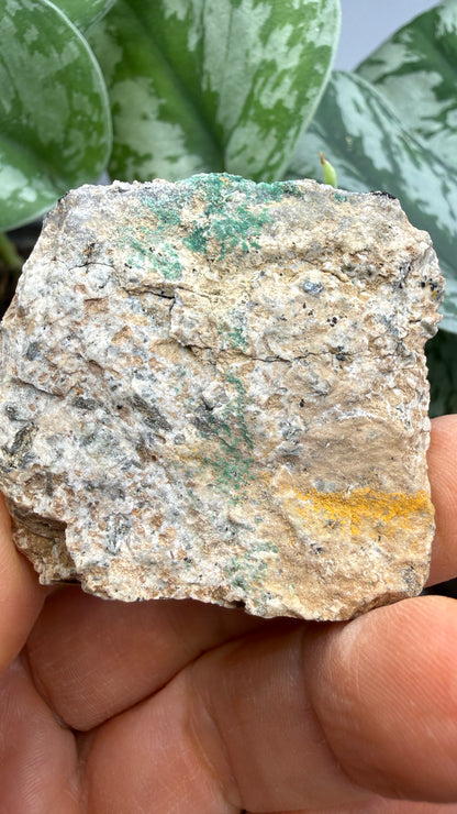 Scorodite with Chalcocite- Empire Mine, Yerington, Lyon County, Nevada, USA