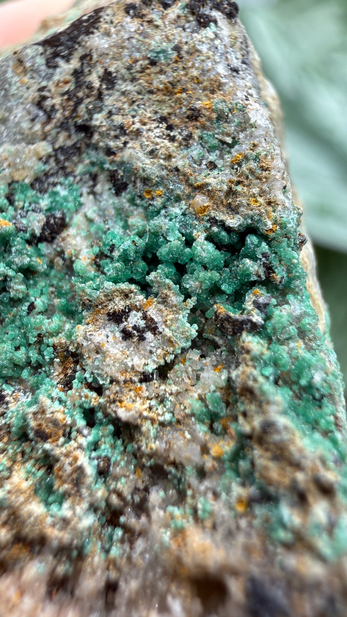 Scorodite with Chalcocite- Empire Mine, Yerington, Lyon County, Nevada, USA