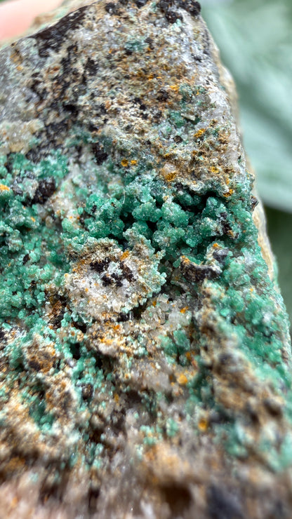 Scorodite with Chalcocite- Empire Mine, Yerington, Lyon County, Nevada, USA