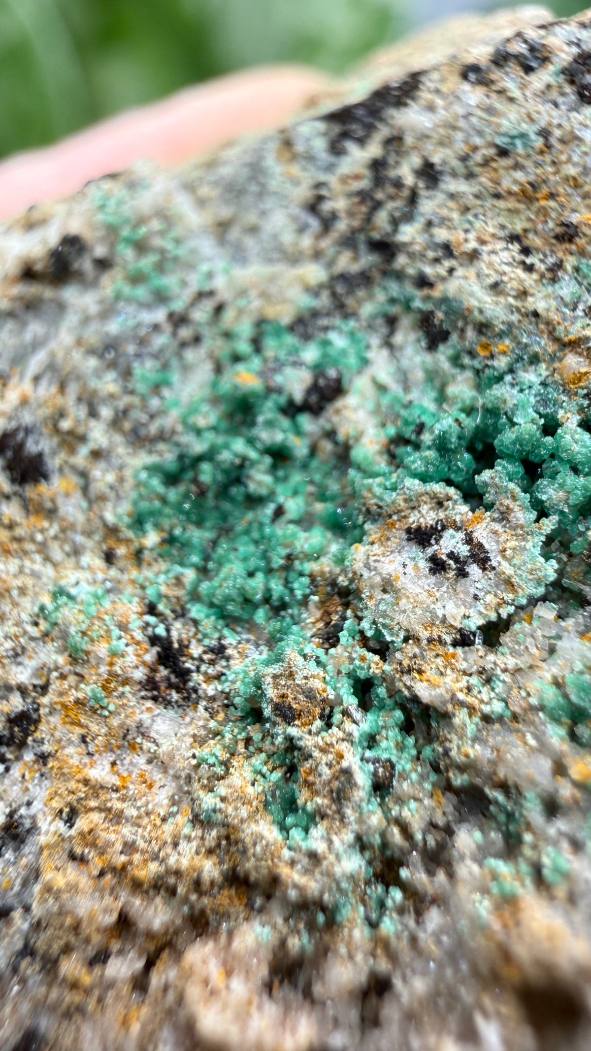 Scorodite with Chalcocite- Empire Mine, Yerington, Lyon County, Nevada, USA