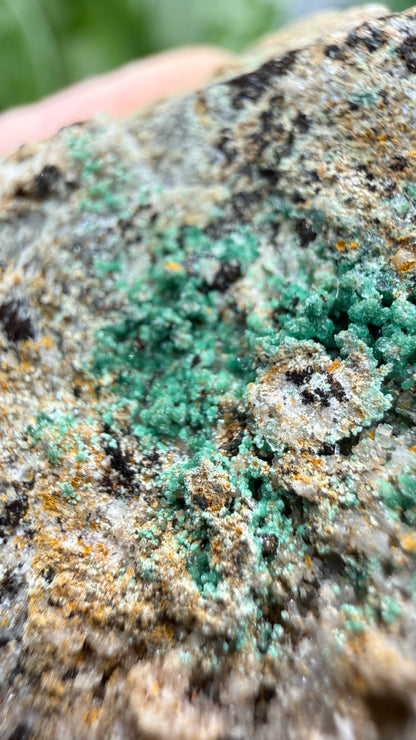 Scorodite with Chalcocite- Empire Mine, Yerington, Lyon County, Nevada, USA
