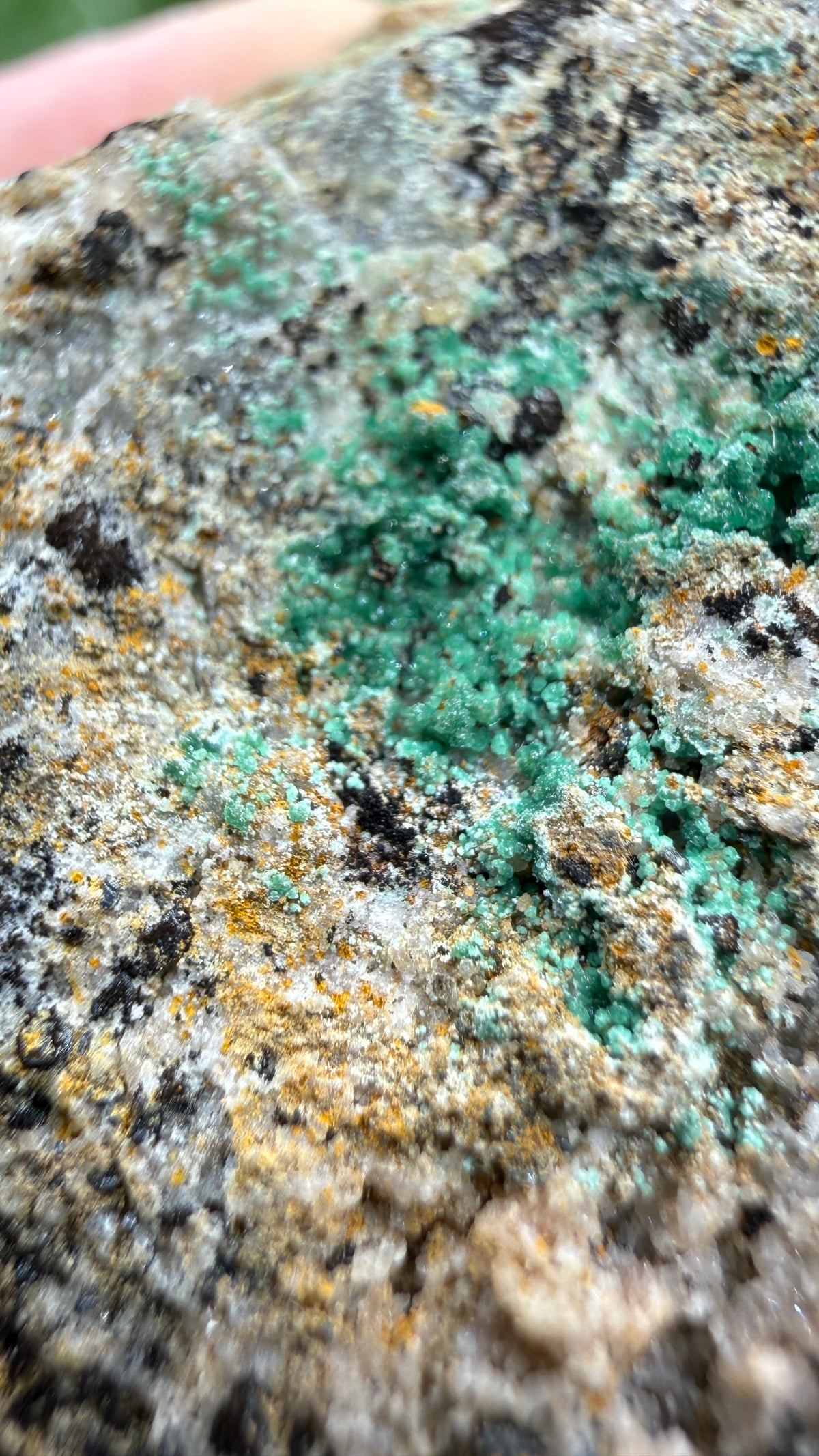 Scorodite with Chalcocite- Empire Mine, Yerington, Lyon County, Nevada, USA