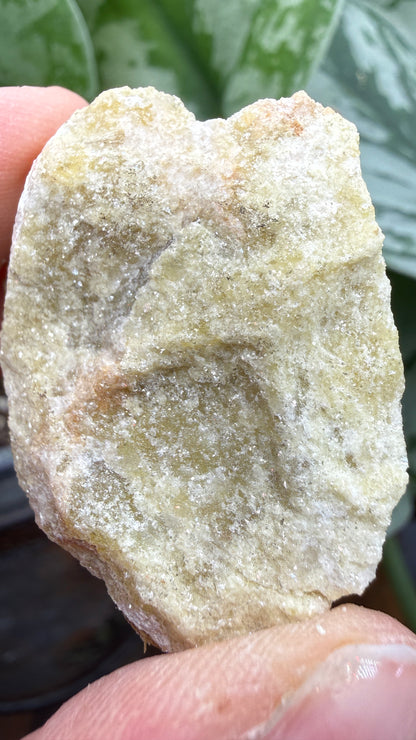 Yellow Lepidolite- Black Hills, South Dakota