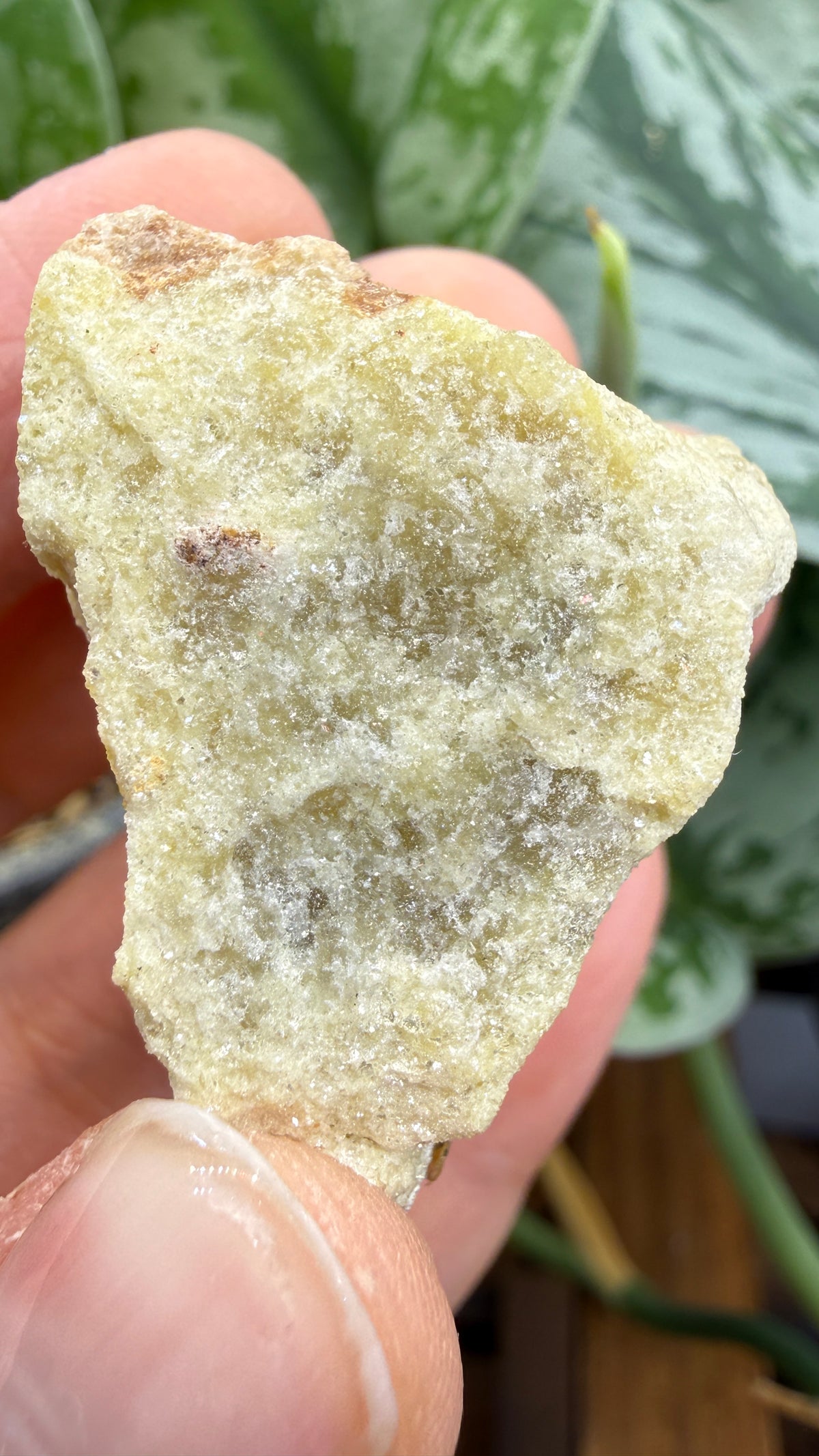 Yellow Lepidolite- Black Hills, South Dakota