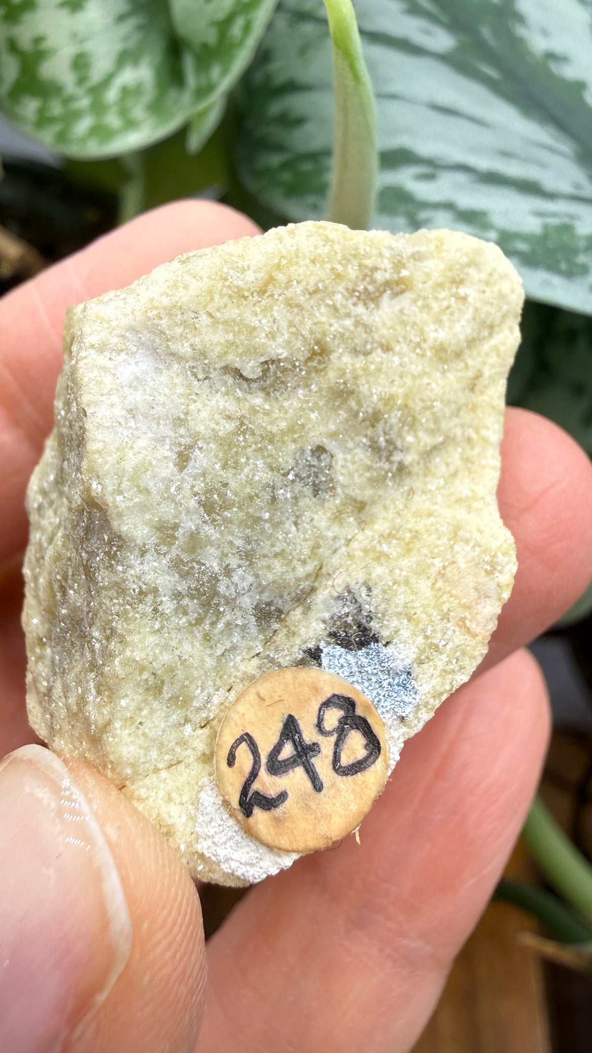 Yellow Lepidolite- Black Hills, South Dakota