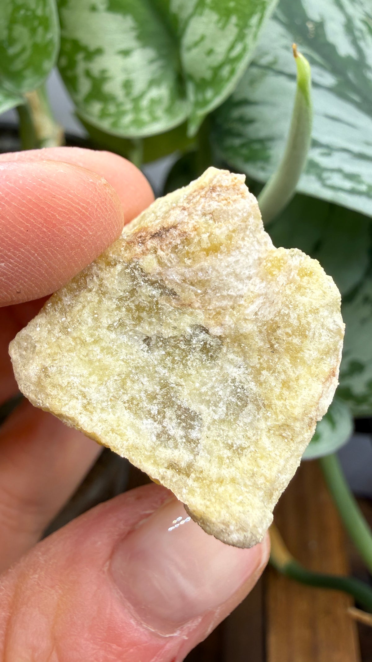 Yellow Lepidolite- Black Hills, South Dakota